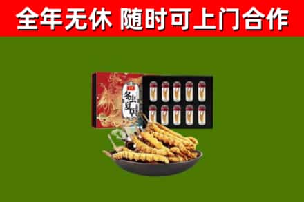 明水县烟酒回收冬虫夏草礼盒.jpg